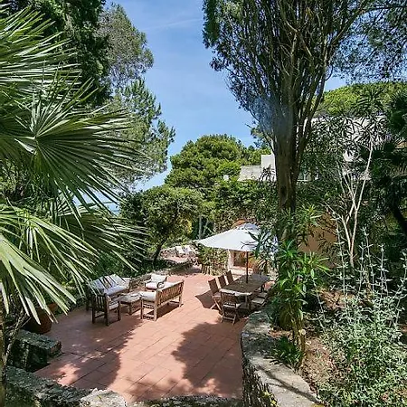 Villa Douglas - Nestled In Nature Capri