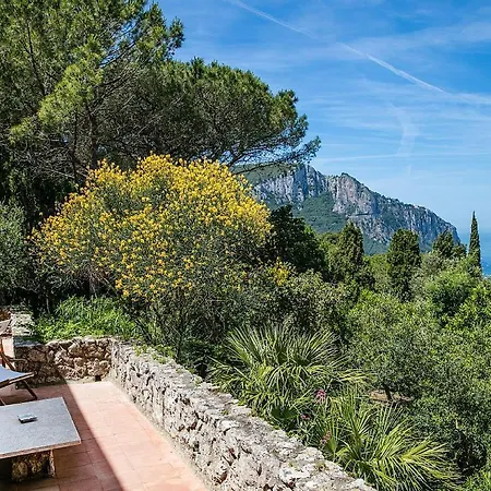 Douglas - Nestled In Nature Capri