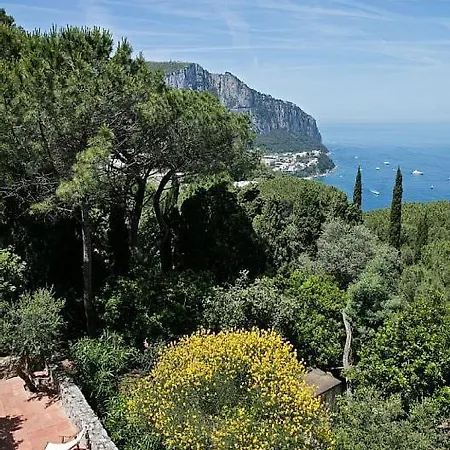 Douglas - Nestled In Nature Villa *